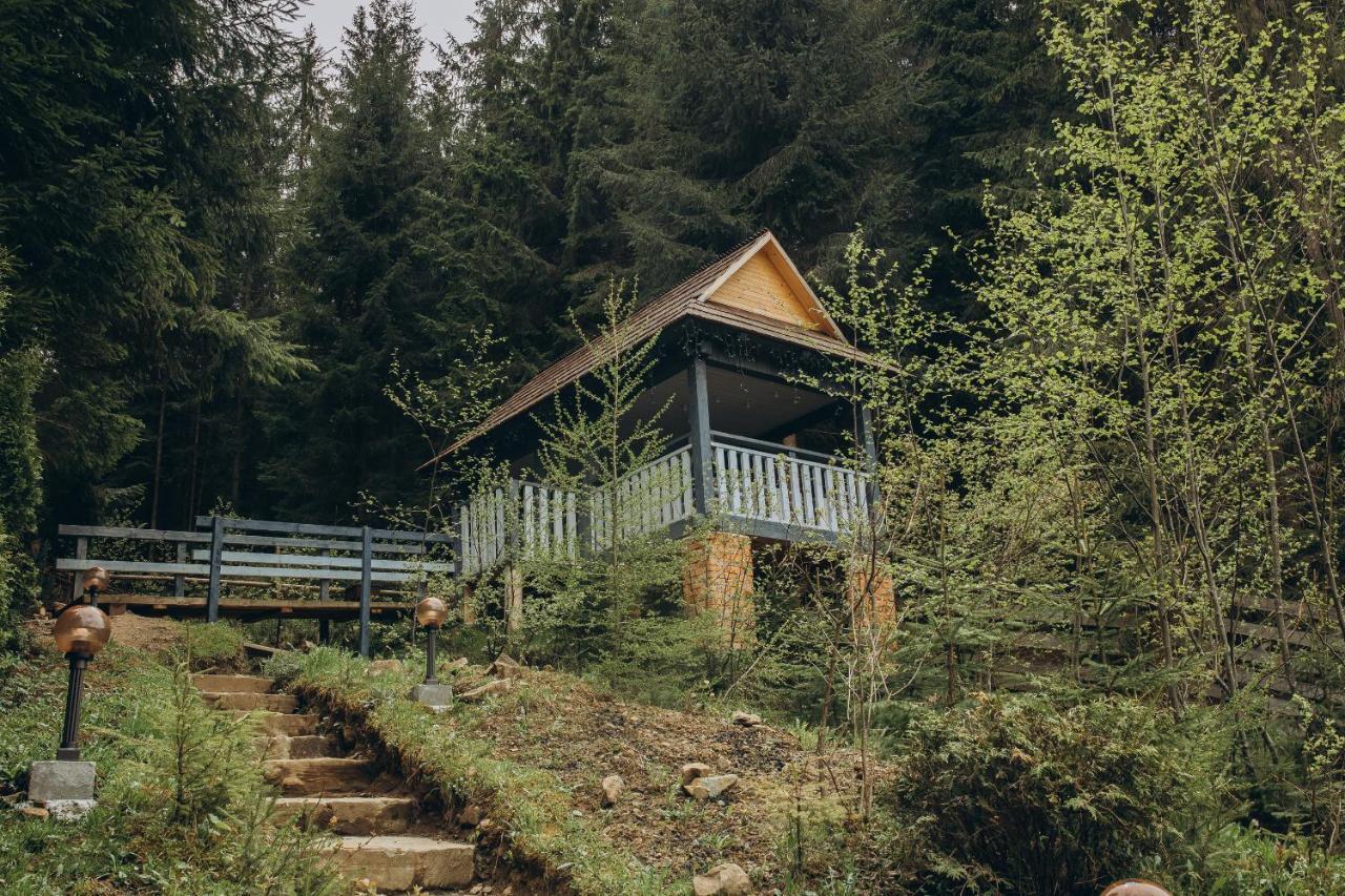 Hotel Vedmezhyi Dvir بوكوفِل المظهر الخارجي الصورة