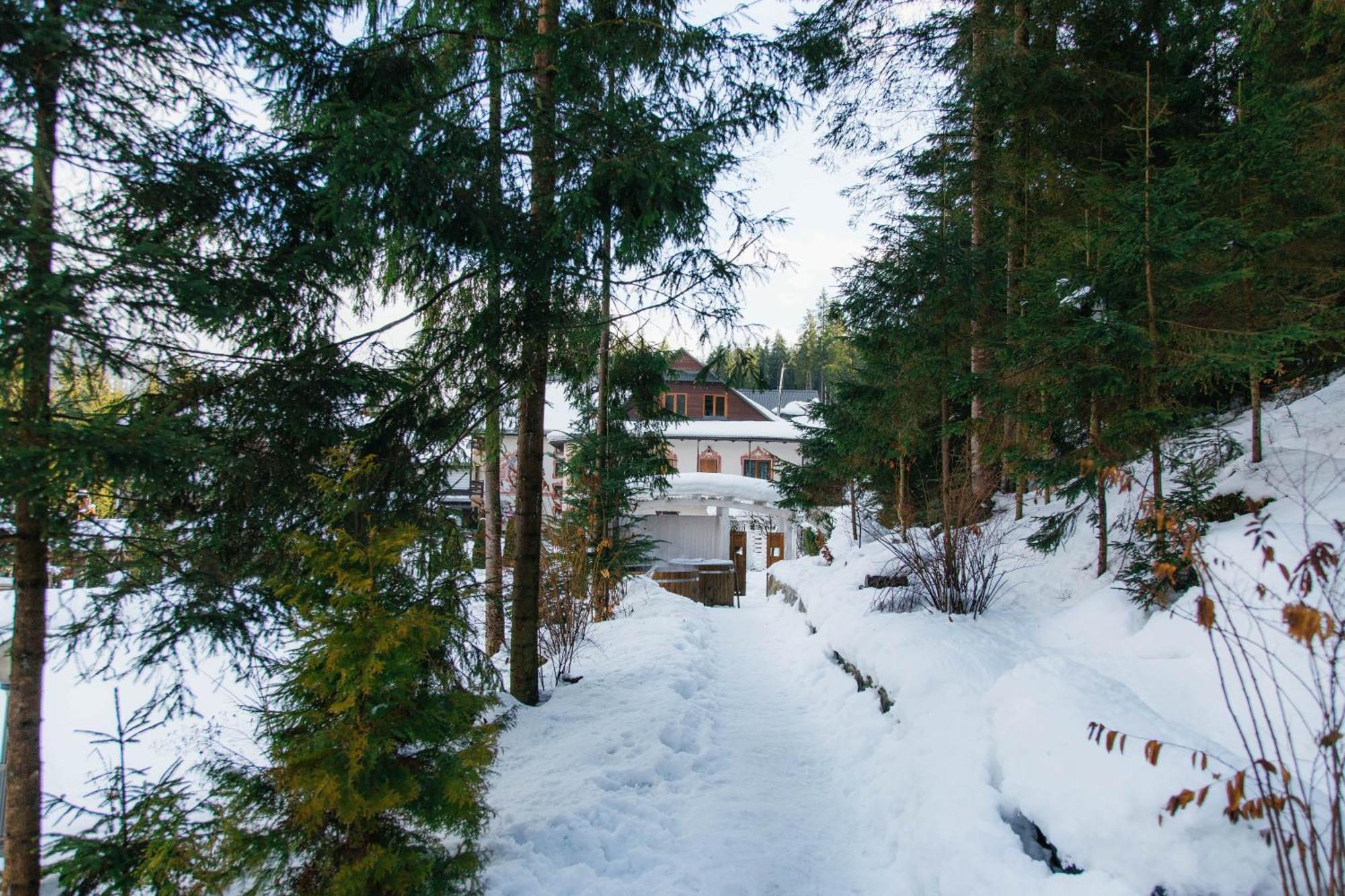 Hotel Vedmezhyi Dvir بوكوفِل المظهر الخارجي الصورة