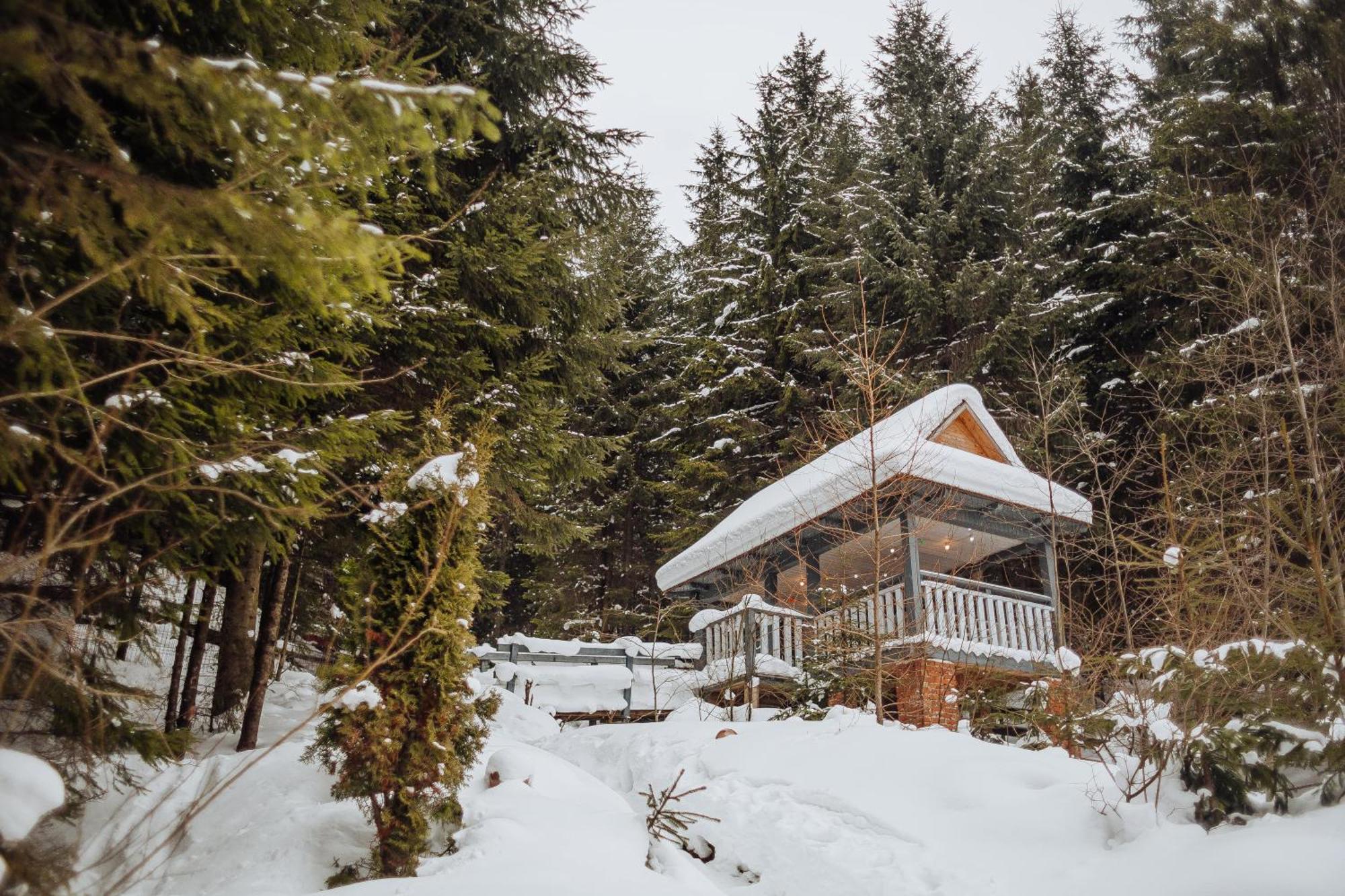 Hotel Vedmezhyi Dvir بوكوفِل المظهر الخارجي الصورة
